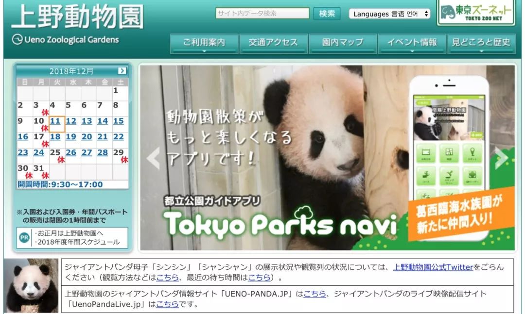 老外到底多喜欢熊猫,老外看中国大熊猫