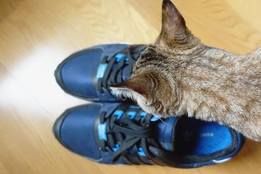 nikeelement87undercover,nikereactundercover联名