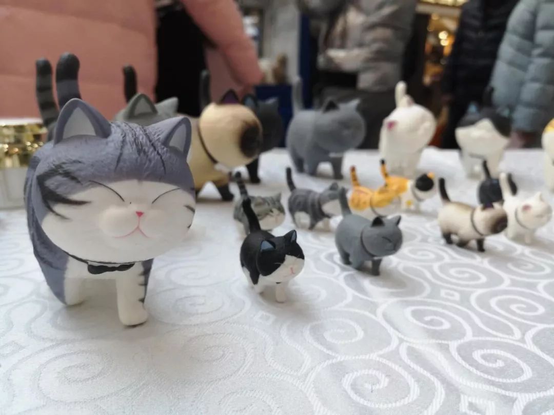 新闻综合广播｜「宠爱有家」之喵星驾到