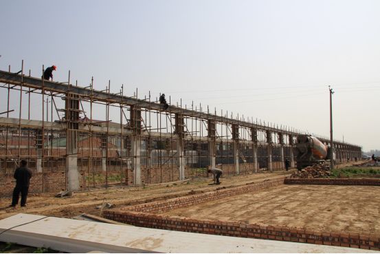 夏邑县特色农村,夏邑县前十村庄