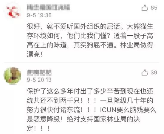 老外到底多喜欢熊猫,老外看中国大熊猫