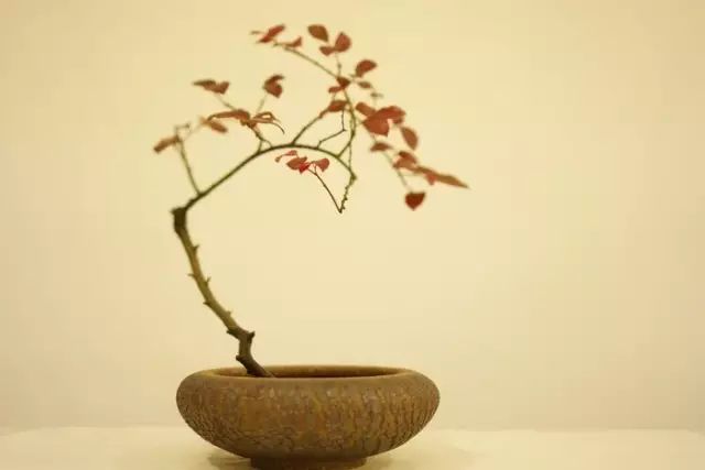 二十四史经典语录100个,100句古今绝美句子