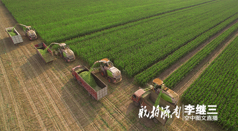 农村土地经营模式改革探讨,深化农村土地改革的政策与策略