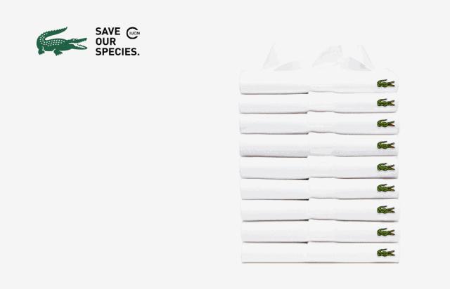 这一回，用了86年的“鳄鱼logo”再次被换，只为保护濒危动物！网友：这是2019年最棒的公益