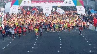 厦门国际马拉松2001,厦门国际马拉松赛路线