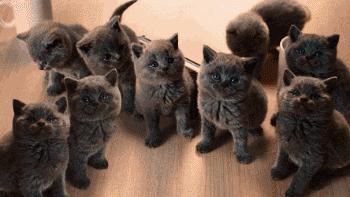 护肤界的八大谎言,护肤谎言