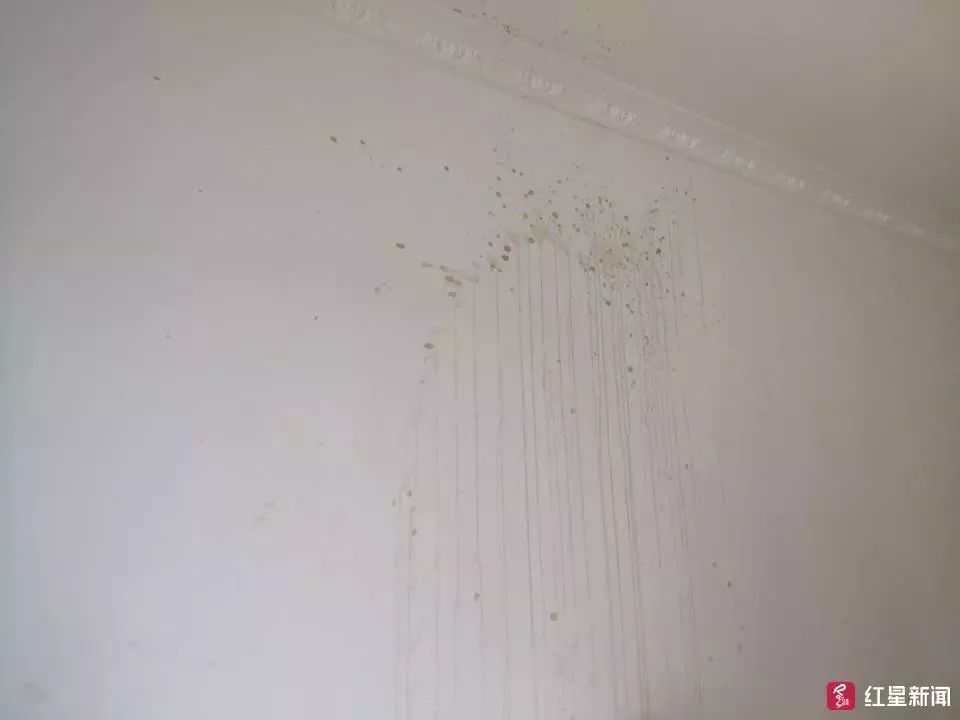 房子租给一对年轻人开门后续,房东将房子租给了一对小夫妻