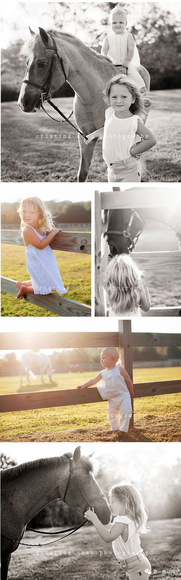 鬼马系列写真,马写真高清图片大全