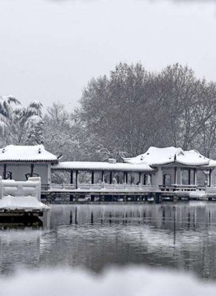 小寒丨穿越千年伴君共乘——丝绸之路上的马文化