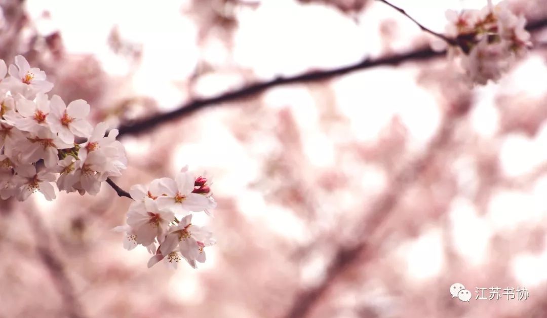 顾城经典的诗句有哪些,顾城的诗句唯美短句