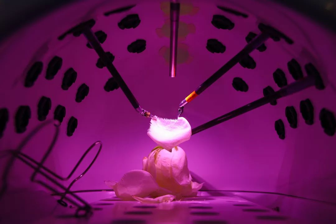 新华社2018新闻,新华社2018年十大新闻