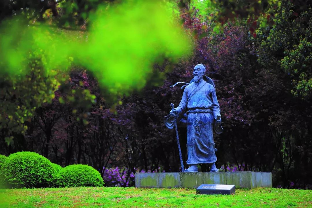 在学生心里播下一颗中医药的种子上海中医药大学中医药实践工作站