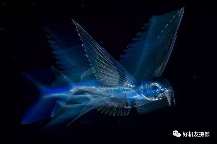 荷赛大奖作品,荷赛2022年获奖作品