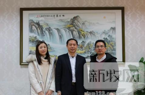 双胞胎饲料市场分析,双胞胎猪饲料销量第一