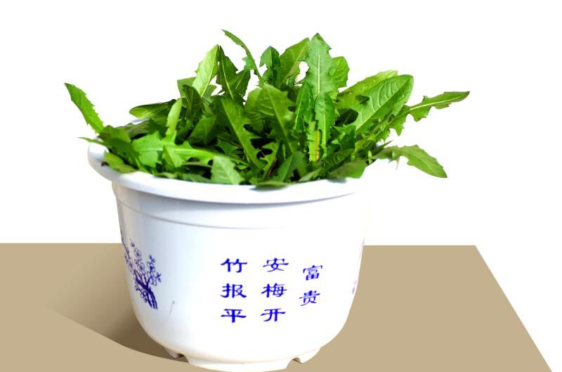 寻找一起做事志同道合的合伙人,找正能量的合伙人