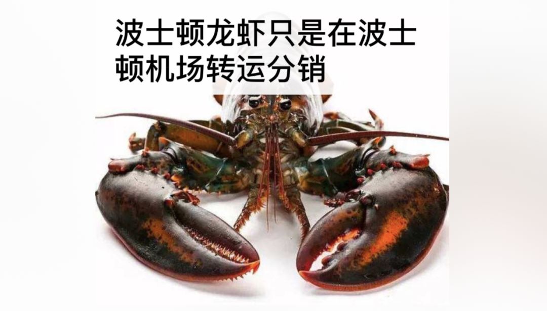 一勺言｜地产分销沉浮史