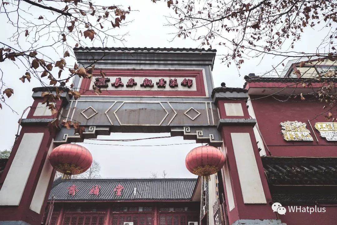 南普陀寺素菜馆推荐,观音山十大素菜馆