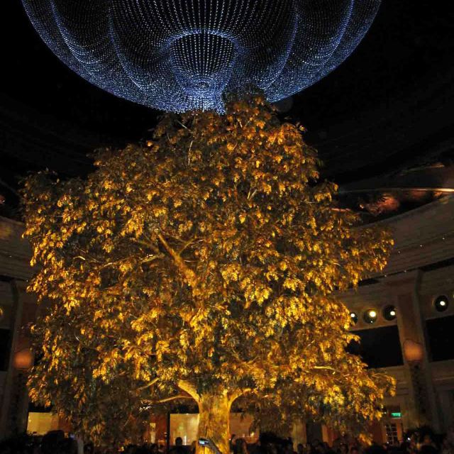 澳门攻略电影,澳门攻略挑战