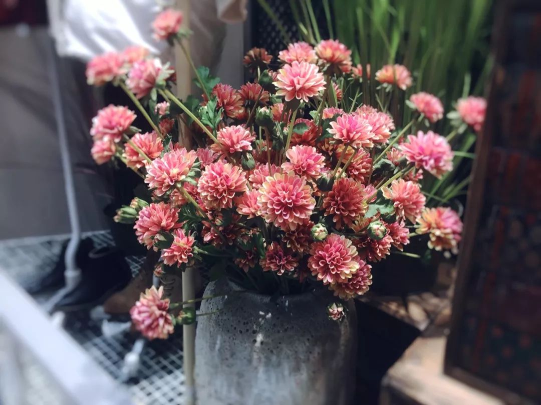 教师节感念师恩的诗句,教师节感念师恩800字