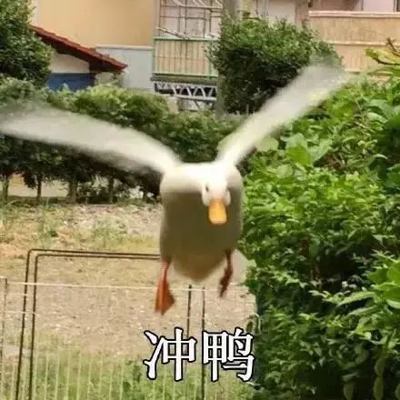 天涯印象创作的原声,天涯印象的主页