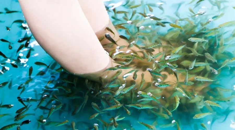 恒大酒店集团独创什么模式,恒大酒店集团品牌系列