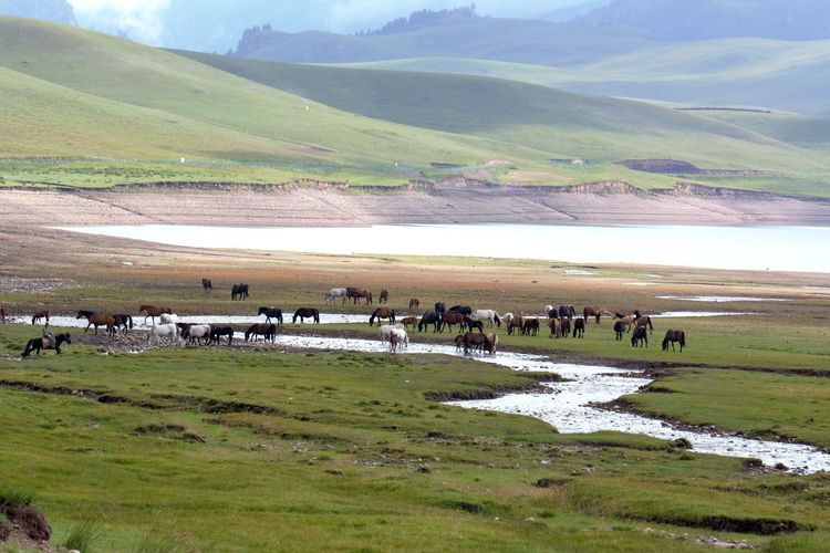 滨州摄影师葛珍君：记录风景和变化记录亲情和友谊