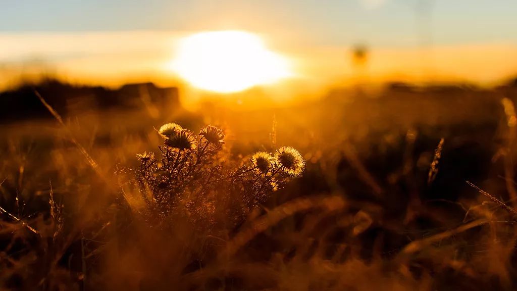 趁年轻多努力读书笔记,趁着年轻多读点书