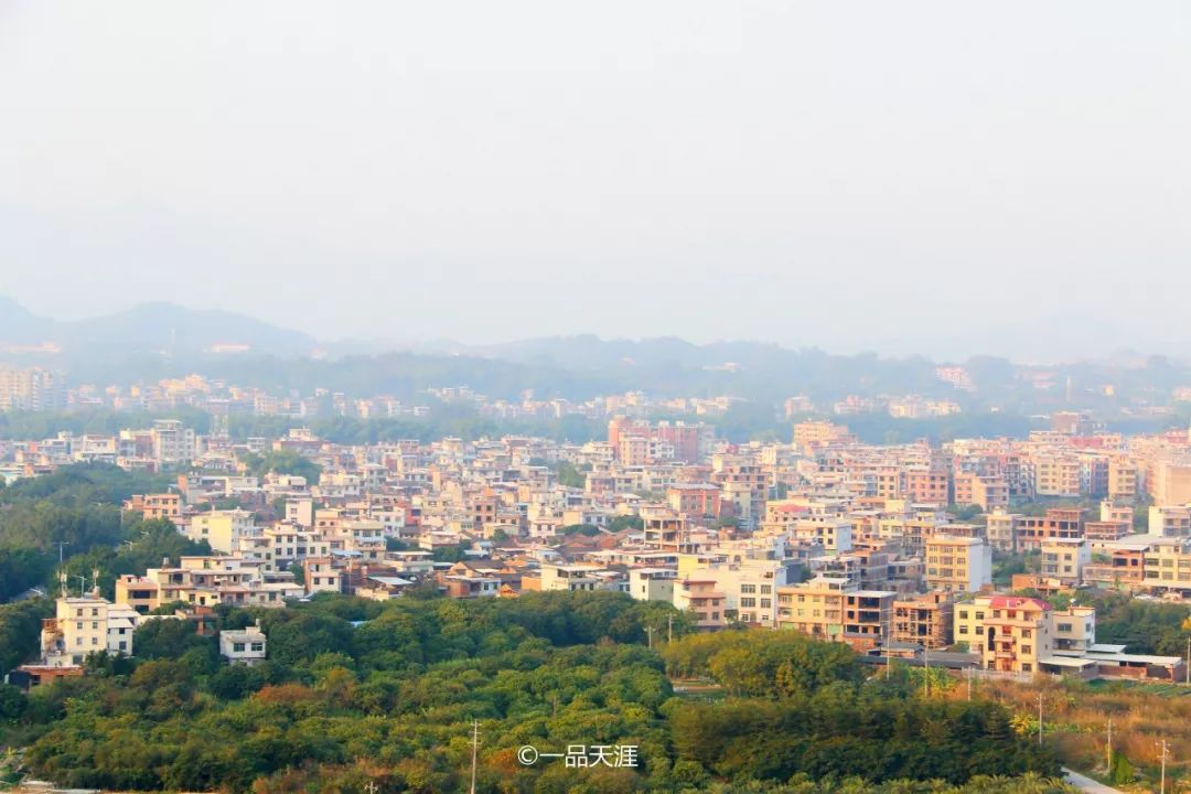 漳州大v排行,大v推荐传奇