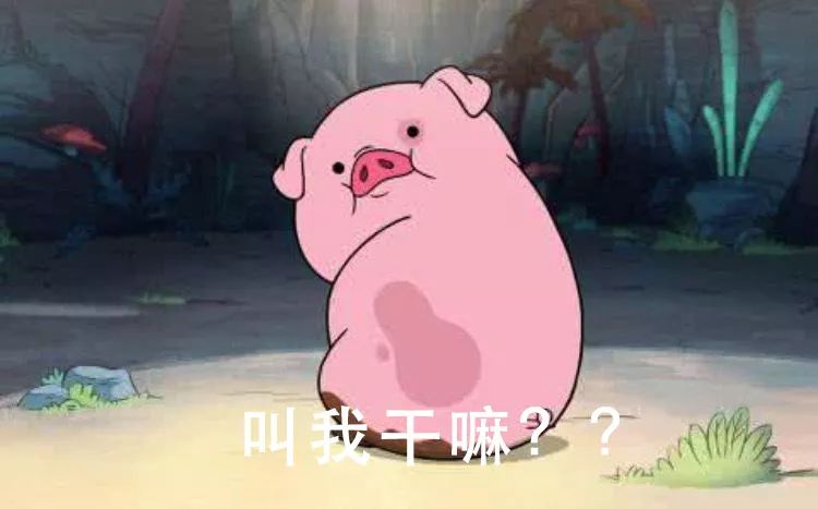 猪年限定彩妆推荐,新年限定彩妆哪款是你的爱