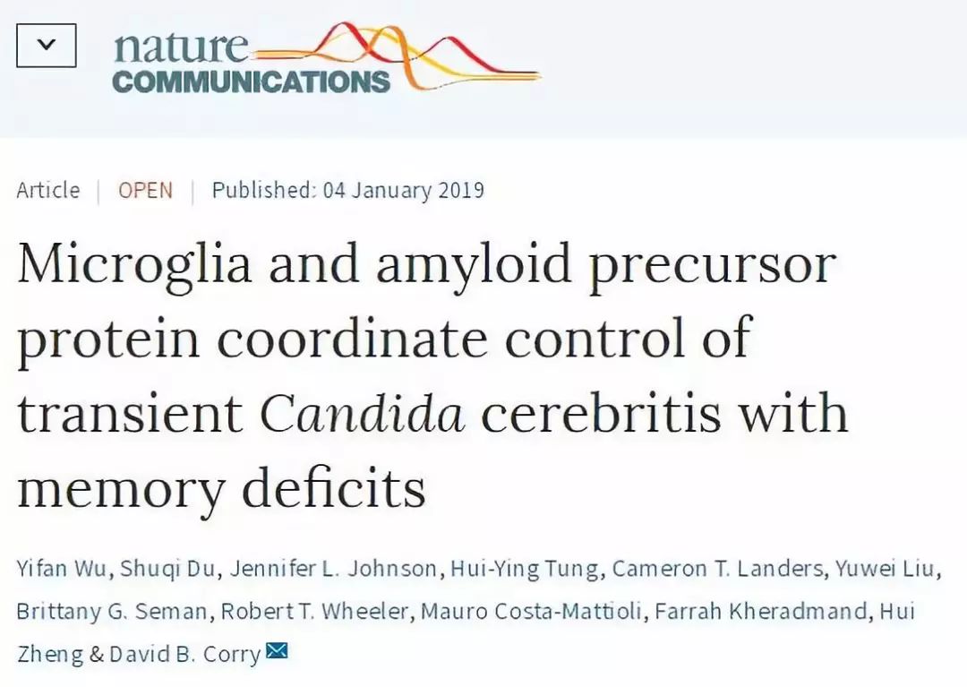 混合性痴呆致病因素,炎症会导致痴呆吗