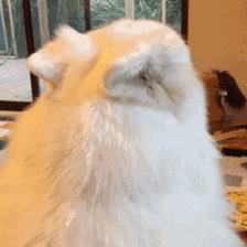 气温即将回升本周末有阴雨天气,未来一周多阴雨气温下降4到6度