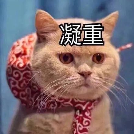 广西2024快递放假停运时间表,广西快递恢复时间2019