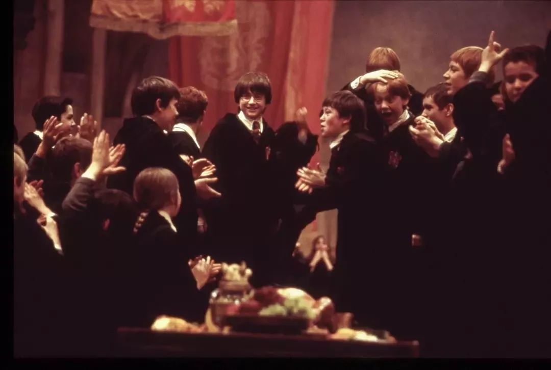 哈利波特麻瓜完整版,哈利波特麻瓜介绍