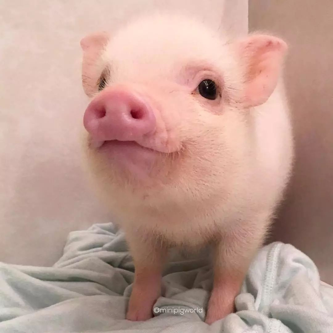 揭穿身边的骗局文章,揭穿新骗局视频