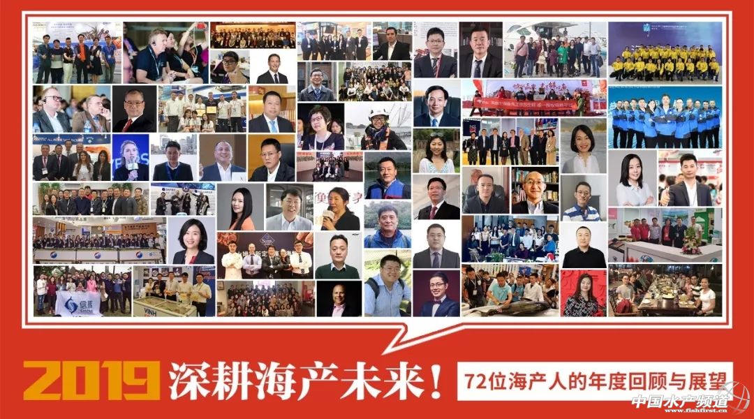 海产行业2019,2019年海洋产业