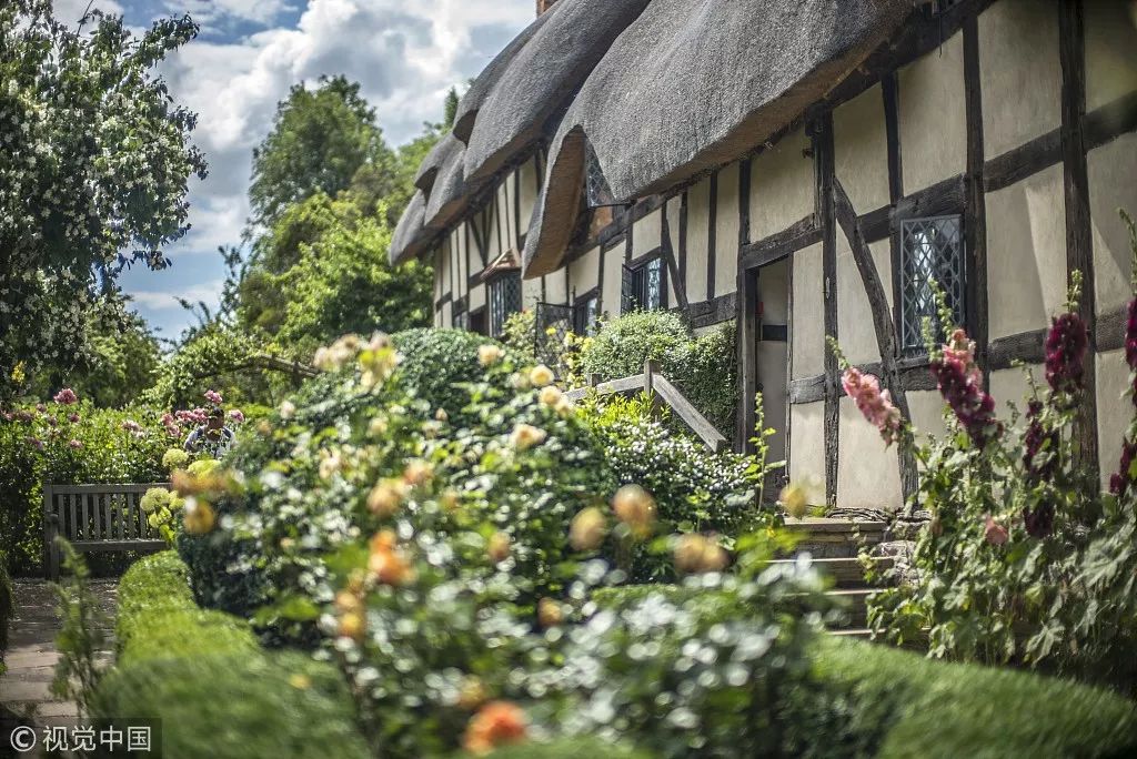 被前中国首富盯上的这块“蛋糕”距世界一流还有多远？｜凤旅观察