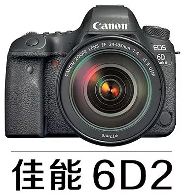 摄影教程零基础学摄影快门光圈,摄影初学者拍的第1张照片