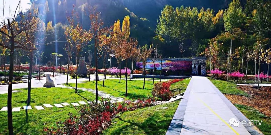 粮食和物资储备局2021年工作总结,粮食局主要工作任务