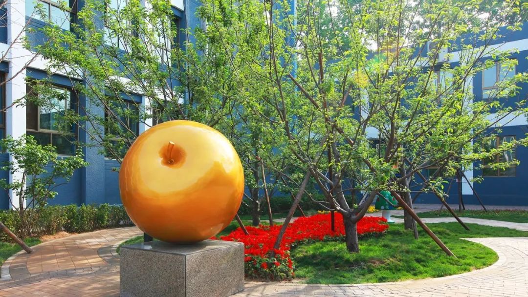 这所以“五一”命名的小学,究竟与劳动有哪些不解之缘?