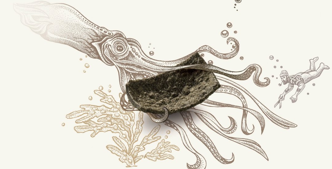 精致而有创意的产品包装设计,包装设计最有视觉冲击力的产品