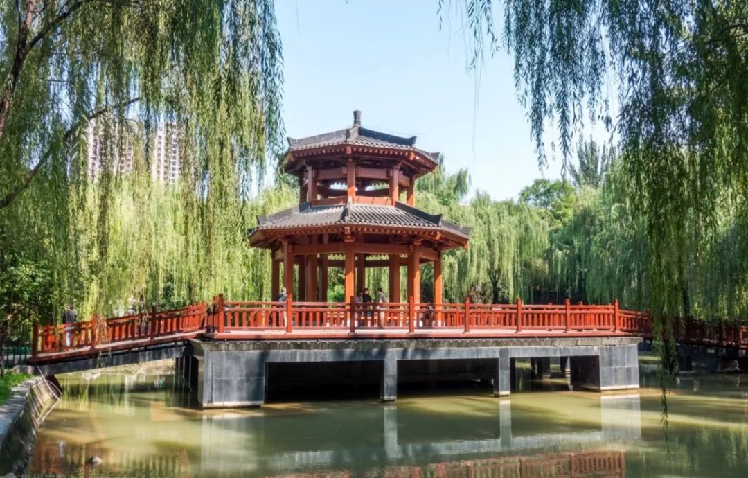 西安动物园旅游手绘示意图,最美的西安公园风景图