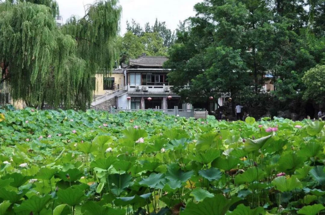 最美的西安公园风景图,西安桃花潭公园手绘导览图