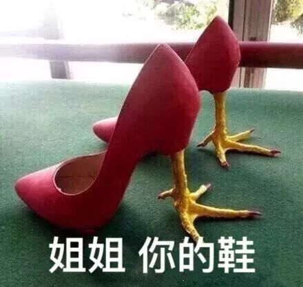 都市丽人回村现状,都市丽人回家过年现状