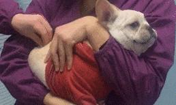 感冒发烧为什么大医院不建议输液,感冒发烧正确的输液处方