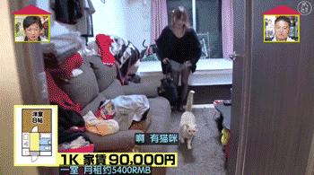 日本主妇家的空无一物是骗人的吗,日本主妇家里空无一物