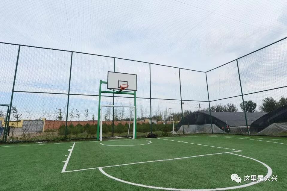 大兴区专项整治,2019大兴区重点工程