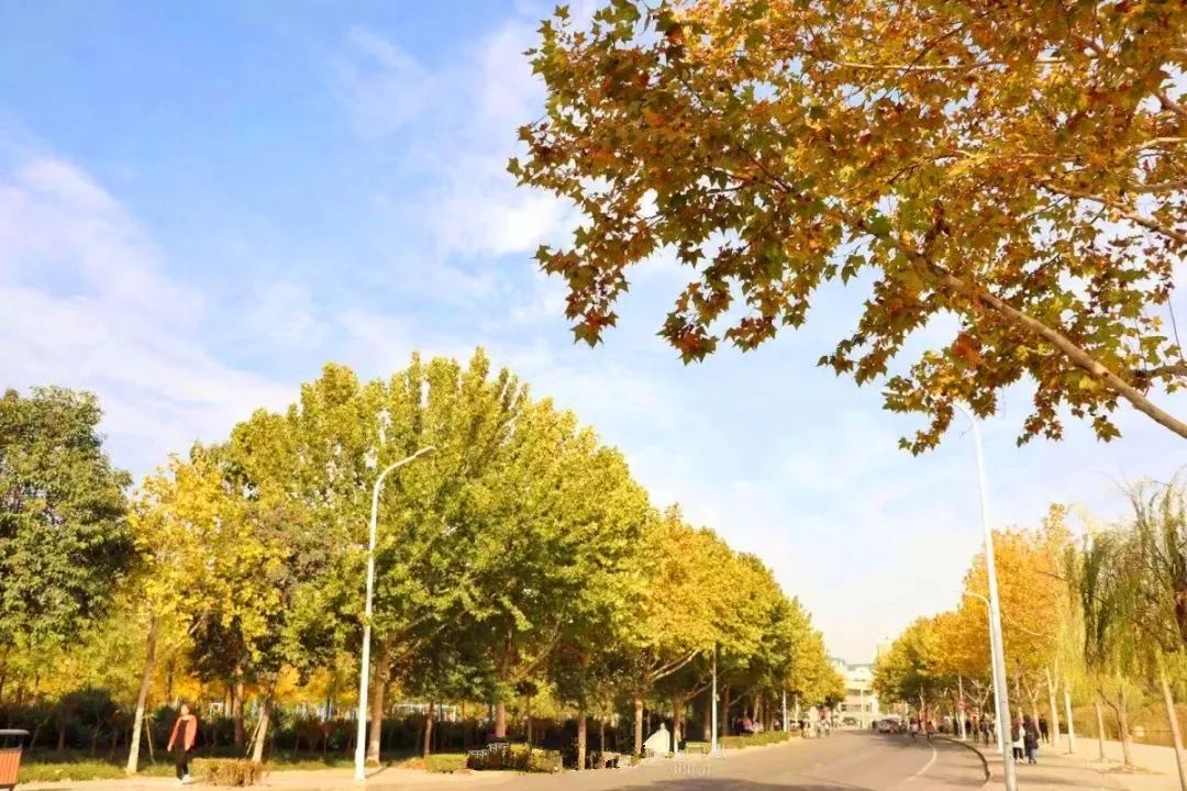 郑州欢迎你2018,2020郑州招才引智大会