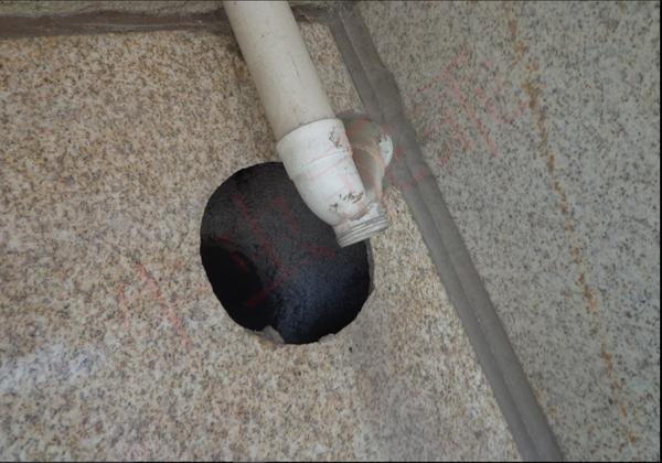 房间里进了老鼠什么办法抓最好,住高层老鼠怎么消灭