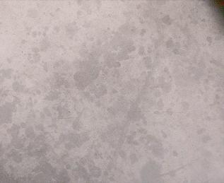 “纯金”麦当劳，第①次那么奢侈