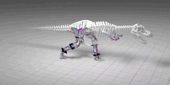 怎样养一只宠物霸王龙,怎么养一只霸王龙